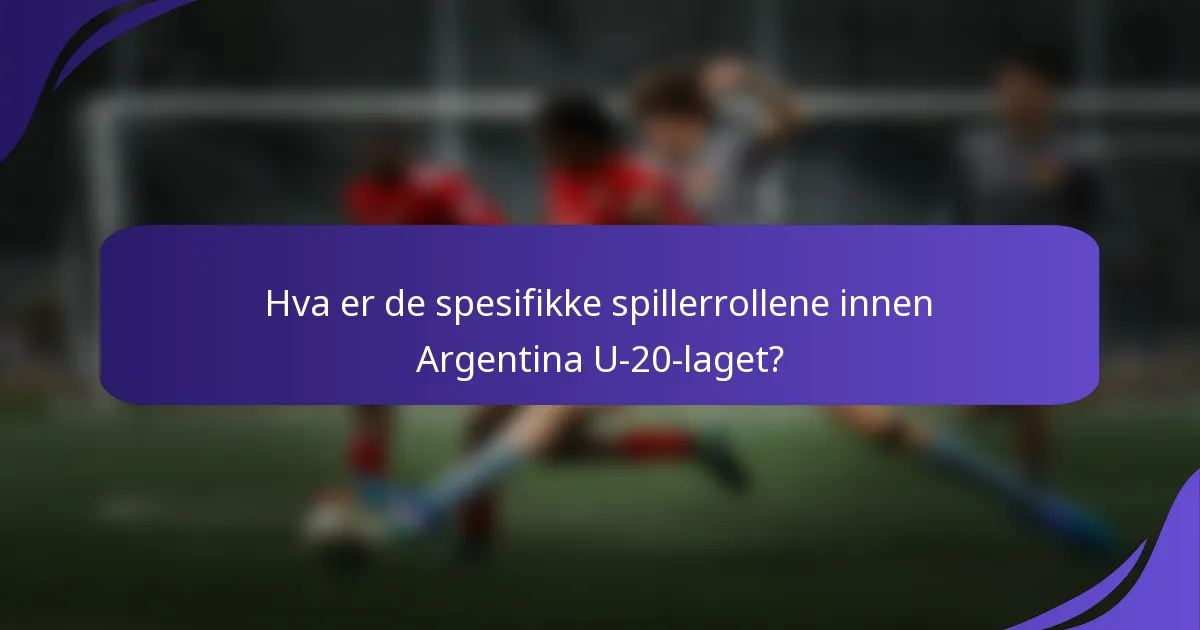 Hva er de spesifikke spillerrollene innen Argentina U-20-laget?