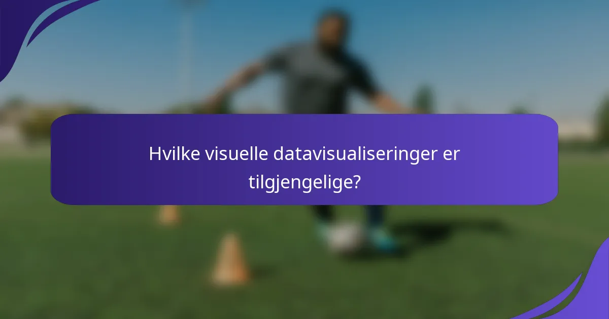 Hvilke visuelle datavisualiseringer er tilgjengelige?